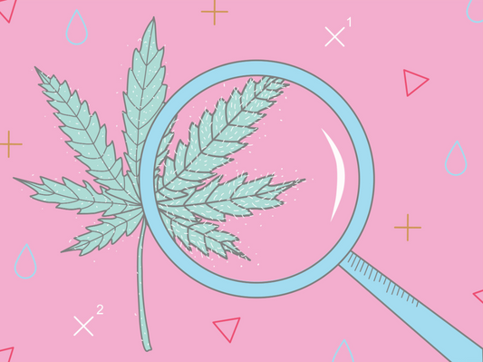 Clean, Green? Sifting Through the Greenwashing in Hemp
